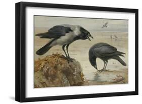 A Hooded Crow and a Carrion Crow, 1924-Archibald Thorburn-Framed Giclee Print