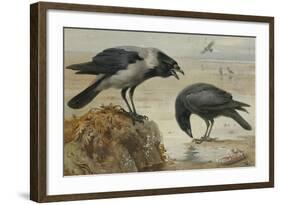 A Hooded Crow and a Carrion Crow, 1924-Archibald Thorburn-Framed Giclee Print