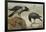 A Hooded Crow and a Carrion Crow, 1924-Archibald Thorburn-Framed Giclee Print