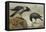 A Hooded Crow and a Carrion Crow, 1924-Archibald Thorburn-Framed Stretched Canvas