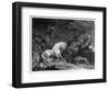 A Horse Affrighted by a Lion, Engraved by the Artist, 1777 (Etching)-George Stubbs-Framed Premium Giclee Print