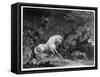 A Horse Affrighted by a Lion, Engraved by the Artist, 1777 (Etching)-George Stubbs-Framed Stretched Canvas