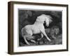 A Horse Affrighted by a Lion, Engraved by the Artist, 1788 (Etching)-George Stubbs-Framed Giclee Print