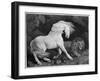 A Horse Affrighted by a Lion, Engraved by the Artist, 1788 (Etching)-George Stubbs-Framed Giclee Print