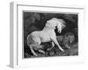 A Horse Affrighted by a Lion, Engraved by the Artist, 1788 (Etching)-George Stubbs-Framed Giclee Print