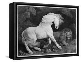 A Horse Affrighted by a Lion, Engraved by the Artist, 1788 (Etching)-George Stubbs-Framed Stretched Canvas