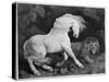 A Horse Affrighted by a Lion, Engraved by the Artist, 1788 (Etching)-George Stubbs-Stretched Canvas