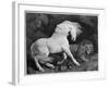 A Horse Affrighted by a Lion, Engraved by the Artist, 1788 (Etching)-George Stubbs-Framed Giclee Print