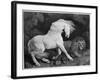 A Horse Affrighted by a Lion, Engraved by the Artist, 1788 (Etching)-George Stubbs-Framed Giclee Print