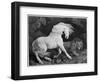 A Horse Affrighted by a Lion, Engraved by the Artist, 1788 (Etching)-George Stubbs-Framed Premium Giclee Print