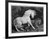 A Horse Affrighted by a Lion, Engraved by the Artist, 1788 (Etching)-George Stubbs-Framed Giclee Print