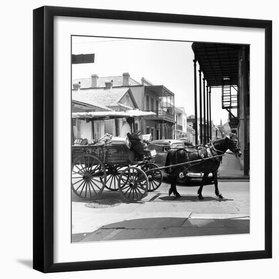 A Horse-Drawn Vegetable Cart Travels Through a Quiet Section of the French Quarter-null-Framed Photographic Print