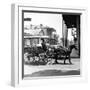 A Horse-Drawn Vegetable Cart Travels Through a Quiet Section of the French Quarter-null-Framed Photographic Print