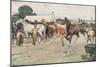 A Horse Fair... 'There Was a Great Deal of Bargaining, Running Up, and Beating Down'-Cecil Aldin-Mounted Giclee Print