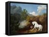 A Horse Frightened by a Lion, 1770-George Stubbs-Framed Stretched Canvas