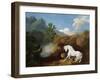 A Horse Frightened by a Lion, 1770-George Stubbs-Framed Giclee Print