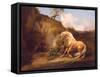 A Horse Frightened by a Lion, c.1790-5-George Stubbs-Framed Stretched Canvas