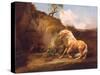 A Horse Frightened by a Lion, c.1790-5-George Stubbs-Stretched Canvas