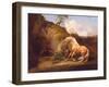 A Horse Frightened by a Lion, c.1790-5-George Stubbs-Framed Giclee Print