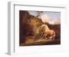 A Horse Frightened by a Lion, c.1790-5-George Stubbs-Framed Premium Giclee Print