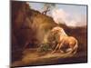 A Horse Frightened by a Lion, c.1790-5-George Stubbs-Mounted Premium Giclee Print