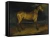 A Horse Frightened by Lightning, Ca 1814-Théodore Géricault-Framed Stretched Canvas