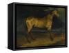 A Horse Frightened by Lightning, Ca 1814-Théodore Géricault-Framed Stretched Canvas