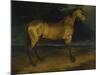 A Horse Frightened by Lightning, Ca 1814-Théodore Géricault-Mounted Giclee Print
