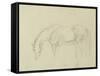 A Horse Grazing-Sawrey Gilpin-Framed Stretched Canvas