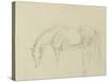 A Horse Grazing-Sawrey Gilpin-Stretched Canvas