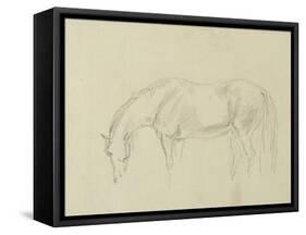 A Horse Grazing-Sawrey Gilpin-Framed Stretched Canvas