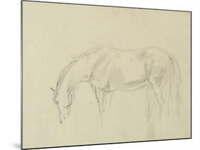 A Horse Grazing-Sawrey Gilpin-Mounted Giclee Print