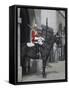 A Horse Guard in Whitehall, London, England, United Kingdom, Europe-James Emmerson-Framed Stretched Canvas