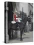 A Horse Guard in Whitehall, London, England, United Kingdom, Europe-James Emmerson-Stretched Canvas