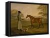 A Horse in a Landscape with the Groom, David, Bennet, 1805-Edwin W. Cooper-Framed Stretched Canvas