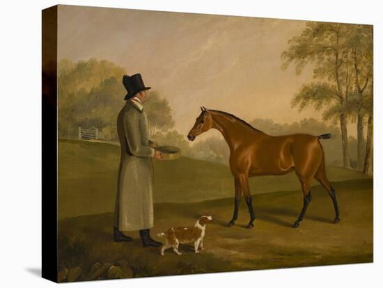 A Horse in a Landscape with the Groom, David, Bennet, 1805-Edwin W. Cooper-Stretched Canvas
