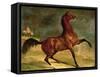 A Horse in a Landscape-Alfred Dedreux-Framed Stretched Canvas