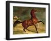 A Horse in a Landscape-Alfred Dedreux-Framed Giclee Print