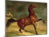 A Horse in a Landscape-Alfred Dedreux-Mounted Giclee Print