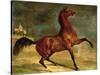 A Horse in a Landscape-Alfred Dedreux-Stretched Canvas