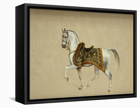 A Horse in Ceremonial Saddlecloth - the Mount of the Marquess Clanricade-Richard Barrett Davis-Framed Stretched Canvas