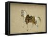 A Horse in Ceremonial Saddlecloth - the Mount of the Marquess Clanricade-Richard Barrett Davis-Framed Stretched Canvas