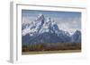 A Horse in Front of the Grand Teton-Galloimages Online-Framed Premium Photographic Print