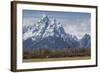 A Horse in Front of the Grand Teton-Galloimages Online-Framed Photographic Print