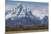 A Horse in Front of the Grand Teton-Galloimages Online-Mounted Photographic Print