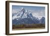 A Horse in Front of the Grand Teton-Galloimages Online-Framed Photographic Print