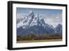 A Horse in Front of the Grand Teton-Galloimages Online-Framed Photographic Print