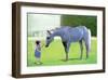 A Horse In Heaven-Nancy Tillman-Framed Art Print