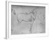 'A Horse in Profile to the Right and its Hind-Quarters', c1480 (1945)-Leonardo Da Vinci-Framed Giclee Print