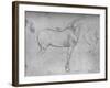 'A Horse in Profile to the Right and its Hind-Quarters', c1480 (1945)-Leonardo Da Vinci-Framed Giclee Print